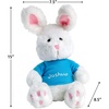 image:imageLillian Vernon Personalized 12 Easter Plush Bunny with Custom Name Blue TShirt  Boys Kids Basket GiftBlue