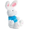 image:imageLillian Vernon Personalized 12 Easter Plush Bunny with Custom Name Blue TShirt  Boys Kids Basket GiftBlue