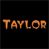 image:imageLillian Vernon Personalized Halloween Treat Bag  Large Trick or Treat Tote amp Candy Basket for KidsSpider