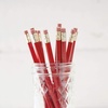 image:imageLillian Vernon Personalized Purple Pencils  12 Hardwood 2 Pencil Set With Laser Engraved Name Customizable School Supplies for Kids Teachers Students amp Personal Use 6 x 03Red