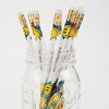 image:imageLillian Vernon Personalized Purple Pencils  12 Hardwood 2 Pencil Set With Laser Engraved Name Customizable School Supplies for Kids Teachers Students amp Personal Use 6 x 03Smiley