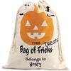 image:imageLillian Vernon Pumpkin Drawstring Personalized Treat Bag  Halloween Trick or Treat Festive JackoLantern Party Add Name