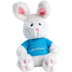 image:imageLillian Vernon Personalized 12 Easter Plush Bunny with Custom Name Blue TShirt  Boys Kids Basket GiftBlue