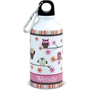 image:imageLillian Vernon Personalized Girls Owl Aluminum Water Bottle  14 Ounce Screw Top with Clip 6 H Beach Sports School Lunch Box BPA Free